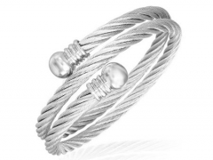 Stainless Steel Bangle ZC-0112