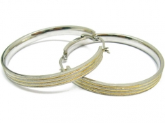 Stainless Steel Earrings ES-0695