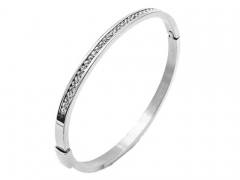 Stainless Steel Bangle ZC-0299A