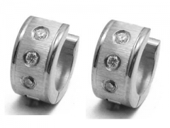 Stainless Steel Earrings ES-0698
