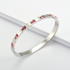Fashion Stainless Steel Bangle ZC-0571A