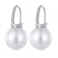 925 Sterling Silver Fashion Earring jewelry for Women  SCE1583
