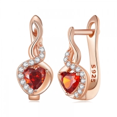 925 Sterling Silver Fashion Earring jewelry for Women  BSE815