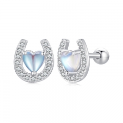 925 Sterling Silver New Elegant Women Earring SCE1612