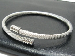 Stainless Steel Bangle ZC-0070