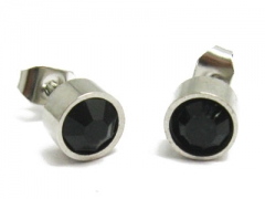 Stainless Steel Earrings ES-0024E