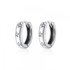 925 Sterling Silver Earrings SCE873
