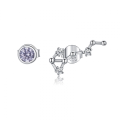 sterling silver fashion earrings jewelry SCE912-8
