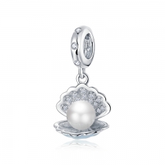 925 sterling silver luxury charms  BSC242