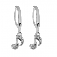 stainless steel hoop earrings women jewelry  PE013
