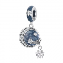 925 Sterling Silver Pendant Charms SCC2369