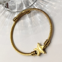 Stainless Steel Bangle ZC-0171