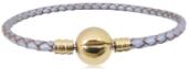 Stainless Steel Bracelets PD0206G