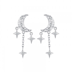 925 Sterling Silver New Earring jewelry for Women BSE858