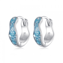 925 Sterling Silver New Elegant Women Earring SCE1614